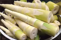 Video: Măng rất tốt nhưng lại mang tiếng “thị phi“: Ai phải tránh?