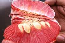 Video: Những sai lầm khi ăn bưởi hủy hoại sức khỏe của bạn