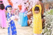 Video: Màu sắc mang lại may mắn cho 12 con giáp