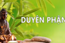 Video: Người đã không cần ta đừng nên giữ