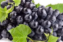 Video: Lý do bạn nên ăn nhiều trái cây và rau quả tím