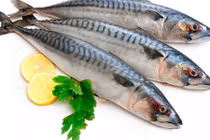 Video: 11 loại cá ăn hàng ngày, không lo bị bệnh