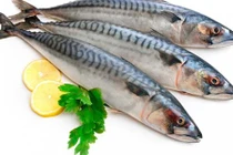 Video: 11 loại cá ăn hàng ngày, không lo bị bệnh
