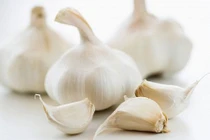 Video: Tuyệt đối không ăn tỏi trong những trường hợp dưới đây