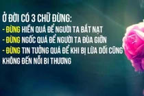 Video: Chỉ 1 câu nói này mà ngấm đến tận xương tuỷ