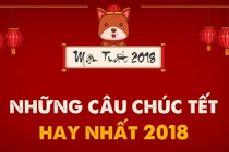 Video: Lời chúc Tết hay và ý nghĩa nhất xuân Mậu Tuất 2018