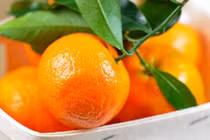 Video: Lợi ích của quả quýt với rất nhiều công dụng tốt cho sức khoẻ