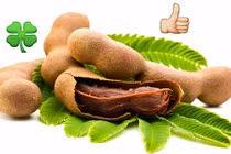 Video: “Tiên dược” cho sức khỏe giúp bạn hiếm khi phải dùng thuốc