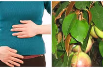 Video: 5 loài cây có sẵn trong vườn giúp giảm cơn đau dạ dày