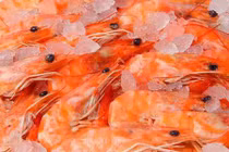 Video: Hải sản tuy ngon nhưng những phần này không nên ăn