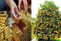 Video: 6 loại cây trồng trước nhà cuối năm mở cửa đón tài lộc