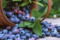 Video: 8 thực phẩm “vàng” ngăn ngừa nếp nhăn, trẻ mãi không già