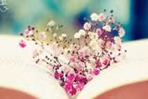 Video: 7 loại hạnh phúc chỉ người thông minh biết quý trọng