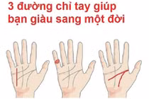 Video: 3 đường chỉ tay dự báo bạn giàu sang 1 đời