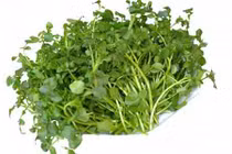 Video: Rau "thần dược” giúp chị em phòng ngừa ung thư cổ tử cung