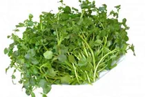 Video: Rau "thần dược” giúp chị em phòng ngừa ung thư cổ tử cung