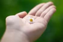 Hiểu đúng về nhân quả