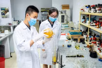 Mô hình đào tạo cá nhân hoá: Biến “tiềm năng” thành “tài năng”