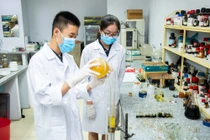 Mô hình đào tạo cá nhân hoá: Biến “tiềm năng” thành “tài năng”