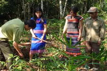 Không gian và môi trường sống của đồng bào dân tộc thiểu số ở Việt Nam