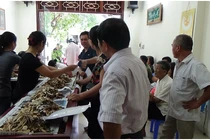 Mổ xẻ bài thuốc Nam gia truyền chữa khỏi bệnh gan cho hàng nghìn người bệnh