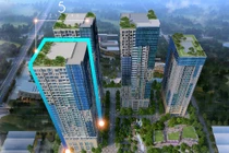 5 Seasons và những yếu tố tạo nên sức bật mạnh mẽ