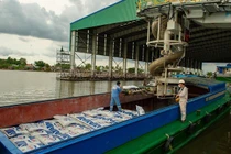 DCM đạt Top 10 báo cáo thường niên tốt nhất năm 2021