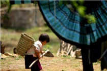 Vai trò của đất đai đối với đời sống của đồng bào các dân tộc thiểu số 