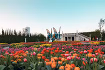 Du lịch Việt Nam cần nhiều hơn nữa những Bà Nà Hills