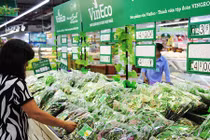Hệ thống Vinmart chính thức phân phối rau sạch Vineco