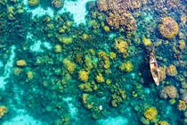 Sun World Hon Thom Nature Park bùng nổ với game mới lần đầu tới Việt Nam