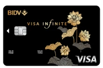 Trải nghiệm tuyệt vời cùng BIDV Visa Infinite