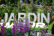 Có một Sun World Ba Na Hills rực rỡ sắc hoa