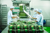 Vingroup ký thỏa thuận hợp tác với 250 HTX và hộ sản xuất