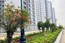 Ngắm chung cư siêu sang 10 triệu/m2 sắp bàn giao của Tập đoàn Mường Thanh