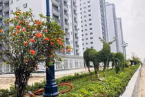 Ngắm chung cư siêu sang 10 triệu/m2 sắp bàn giao của Tập đoàn Mường Thanh