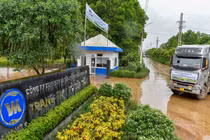 Vinamilk tiếp nhận hơn 1.500 bò nhập khẩu từ Mỹ về các trang trại Vinamilk Green Farm 