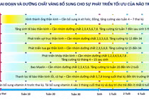 Dinh dưỡng vàng cho phát triển tối ưu não bộ trong những năm tháng đầu đời