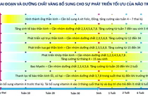Dinh dưỡng vàng cho phát triển tối ưu não bộ trong những năm tháng đầu đời