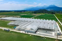 2 năm “Hành trình sạch - Tương lai xanh” của VinEco