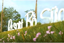 Check-in tại “Resort” bò sữa siêu đẹp của Vinamilk Tây Ninh