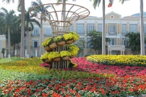 Đà Nẵng trang hoàng đón Tết với đường hoa lộng lẫy bên sông Hàn