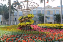 Đà Nẵng trang hoàng đón Tết với đường hoa lộng lẫy bên sông Hàn