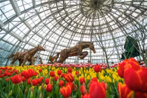 Trẩy hội năm châu – Chơi xuân rước lộc tại xứ sở diệu kỳ Vinpearl Land