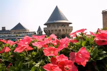 Ngắm thiên đường hoa trên đỉnh Bà Nà