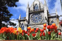 Khuyến mãi khủng trên toàn hệ thống Sun World dịp Tết Nguyên đán 2018