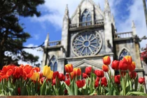 Khuyến mãi khủng trên toàn hệ thống Sun World dịp Tết Nguyên đán 2018