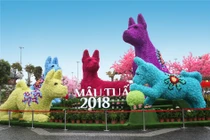 Đến lễ hội hoa Hạ Long để… ngao du năm châu bốn biển