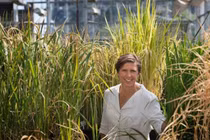 Các nhà khoa học tầm cỡ thế giới hội tụ tại Việt Nam trong Tuần lễ Khoa học Công nghệ VinFuture 2022