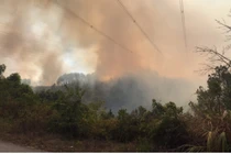 Tập đoàn Điện lực Việt Nam xin thông tin về tình hình cung cấp điện ngày 28/6/2019 